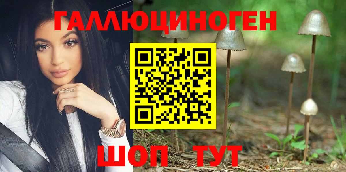 Псилоцибиновые грибы прущие грибы Красноуфимск